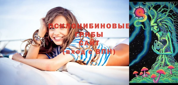 спайс Нягань