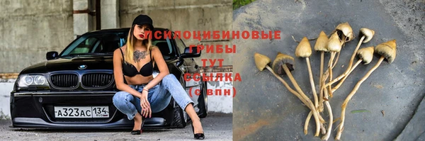 соль курить ск Арсеньев