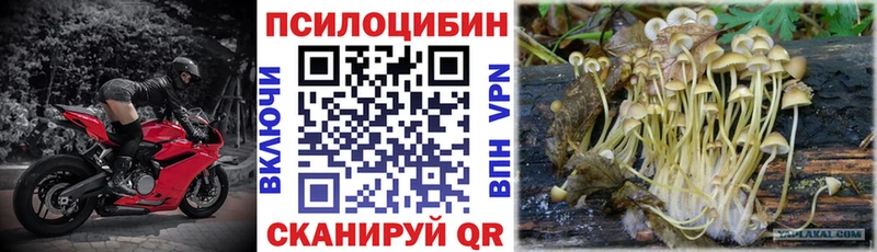 Псилоцибиновые грибы Magic Shrooms  Почеп 